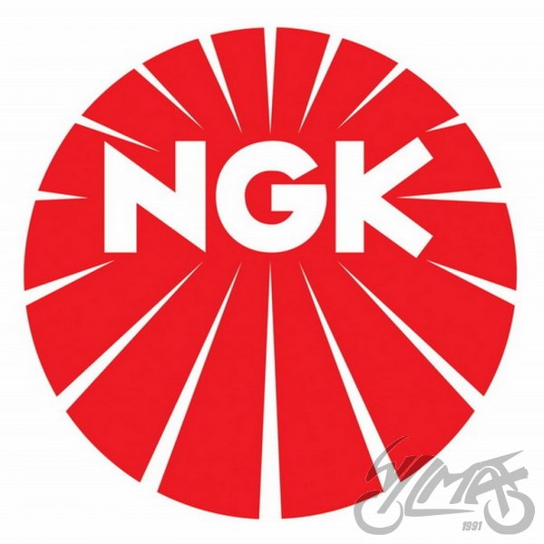 Zapalovací svíčka NGK D8EA